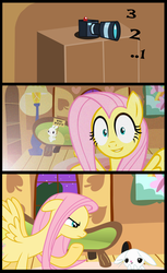 Size: 1500x2448 | Tagged: safe, artist:flare-chaser, angel bunny, fluttershy, pegasus, pony, rabbit, g4, animal, camera, cottage, cute, female, floppy ears, fluttershy's cottage, funny, mare, photo, spread wings, window, wings