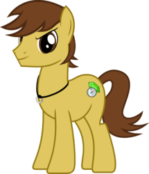 Size: 678x788 | Tagged: safe, artist:myth chaser, oc, oc only, oc:myth chaser, earth pony, pony, brown, compass, gem, male, necklace, ring, simple background, solo, stallion