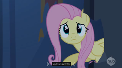 Size: 850x474 | Tagged: safe, screencap, fluttershy, castle mane-ia, g4, my little pony: friendship is magic, female, meme, mike, solo, youtube caption