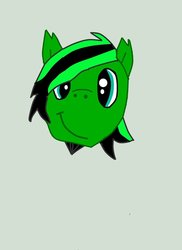 Size: 762x1048 | Tagged: safe, artist:heavyweaponsguy2129, oc, oc only, pegasus, pony, color, face, lineart, smiling, solo