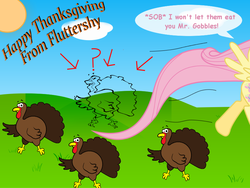 Size: 800x600 | Tagged: safe, fluttershy, pegasus, pony, turkey, g4, female, mare, ponyville, thanksgiving