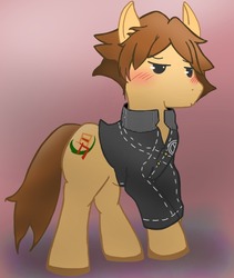 Size: 859x1020 | Tagged: safe, artist:fruityloopy-cherry, pony, hanamura yosuke, persona, persona 4, ponified, solo