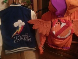 Size: 1280x960 | Tagged: safe, artist:geiyin, rainbow dash, scootaloo, g4, clothes, cosplay, customized toy, hoodie, ichiharu, irl, jacket, photo, scootachicken