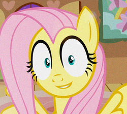 Size: 846x757 | Tagged: safe, fluttershy, g4, female, noise, smiling, solo