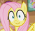 Size: 846x757 | Tagged: safe, fluttershy, g4, female, noise, smiling, solo