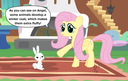 Size: 2978x1881 | Tagged: safe, artist:123turtleshell, angel bunny, fluttershy, g4, fluffy, speech bubble, winter coat