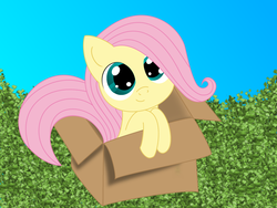 Size: 1032x774 | Tagged: safe, artist:intet22, fluttershy, g4, box, female, flutterbox, my little fluttershy, solo