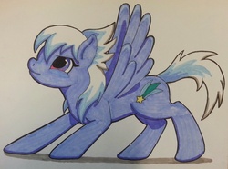 Size: 2589x1931 | Tagged: safe, artist:askamberfawn, cloudchaser, g4, female, solo, traditional art