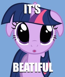 Size: 338x400 | Tagged: safe, edit, edited screencap, screencap, twilight sparkle, g4, the ticket master, female, image macro, it's beautiful, meme, misspelling, solo