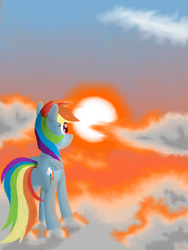 Size: 1500x2000 | Tagged: safe, artist:the1xeno1, rainbow dash, pegasus, pony, g4, butt, cloud, cloudy, female, mare, plot, solo, sunset