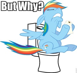 Size: 800x766 | Tagged: safe, artist:fabulouspony, edit, rainbow dash, pegasus, pony, g4, but why, fanfic, female, implied pooping, my life is ruined, sitting on toilet, solo, toilet, toilet humor