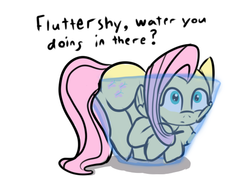 Size: 554x413 | Tagged: safe, artist:tanmansmantan, fluttershy, pegasus, pony, g4, behaving like a cat, bowl, cheek squish, cute, female, looking up, lying down, mare, prone, pun, question, shyabetes, simple background, solo, squishy cheeks, text, water, white background, wide eyes