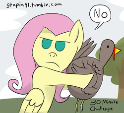 Size: 500x455 | Tagged: safe, artist:gtapia91, fluttershy, turkey, g4, 30 minute art challenge