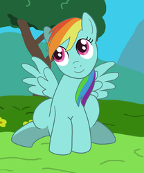 Size: 900x1080 | Tagged: safe, artist:bennytoursprod, rainbow dash, g4, female, smiling, solo