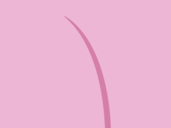 Size: 640x480 | Tagged: safe, pinkie pie, g4, balloonbutt, barely pony related, butt, butt only, close-up, extreme close-up, female, minimalist, plot, solo
