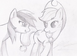 Size: 1988x1450 | Tagged: safe, artist:graypelt, applejack, rainbow dash, g4, monochrome, traditional art