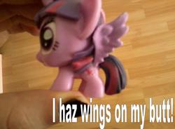 Size: 1600x1176 | Tagged: safe, twilight sparkle, g4, butt wings, fash'ems, female, irl, photo, text, toy, twilight sparkle (alicorn)