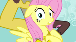 Size: 640x355 | Tagged: safe, screencap, discord, fluttershy, g4, keep calm and flutter on, meme, youtube caption