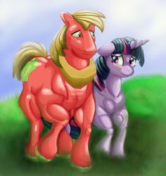 Size: 868x921 | Tagged: safe, artist:psychroculus, big macintosh, twilight sparkle, earth pony, pony, g4, blushing, fetish, male, muscle fetish, muscles, ship:twimac, shipping, stallion, straight, twilight muscle