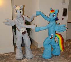 Size: 3264x2859 | Tagged: safe, derpy hooves, rainbow dash, human, g4, cosplay, fursuit, irl, irl human, photo