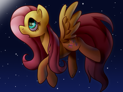Size: 1200x900 | Tagged: safe, artist:zoiby, fluttershy, g4, female, flying, solo, stars