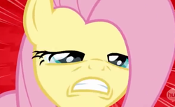 Size: 1464x896 | Tagged: safe, screencap, fluttershy, castle mane-ia, g4, crying, female, solo, yelling