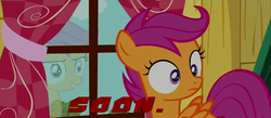 Size: 640x279 | Tagged: safe, scootaloo, pegasus, pony, g4, female, filly, foal, reflection, solo, soon