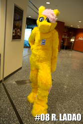 Size: 3456x5184 | Tagged: safe, fluttershy, human, g4, cosplay, fursuit, irl, irl human, photo, ponysuit, solo