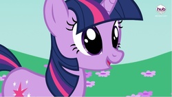 Size: 800x450 | Tagged: safe, twilight sparkle, daring don't, g4, fake, female, hub logo, solo