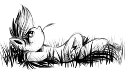 Size: 700x409 | Tagged: safe, artist:xioade, rainbow dash, g4, black and white, female, grass, grayscale, monochrome, on back, resting, solo