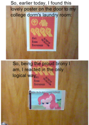 Size: 745x1053 | Tagged: safe, pinkie pie, g4, anti brony brotherhood, anti-brony, caption, hate, haters, meta, photo, text