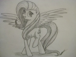 Size: 3072x2304 | Tagged: safe, artist:tenpony, fluttershy, g4, female, solo, traditional art