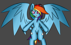 Size: 2500x1577 | Tagged: safe, artist:psicarii, rainbow dash, pegasus, pony, g4, belly button, bipedal, both cutie marks, female, looking at you, mare, simple background, solo