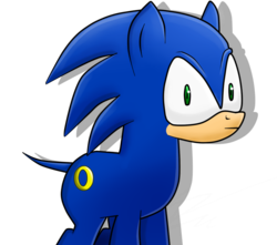 Size: 798x705 | Tagged: safe, artist:dialroco, pony, crossover, male, ponified, solo, sonic the hedgehog, sonic the hedgehog (series)