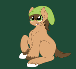 Size: 1000x900 | Tagged: safe, artist:invadermimmzi, chespin, blank flank, hat, pokémon, pokémon x and y, ponified, solo, unshorn fetlocks