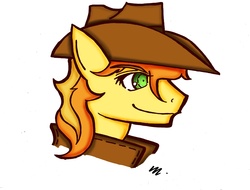 Size: 3503x2667 | Tagged: safe, artist:mcbain, braeburn, g4, kh style, male, profile, solo