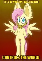 Size: 650x950 | Tagged: safe, artist:heir-of-rick, fluttershy, bee, pony, semi-anthro, g4, beard, bee beard, big ears, bipedal, dune, female, fluffy, hooves behind back, impossibly large ears, nicolas cage, solo