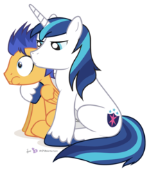 Size: 700x814 | Tagged: safe, artist:dm29, flash sentry, shining armor, pegasus, pony, unicorn, g4, duo, male, overprotective, overprotective armor, simple background, stallion, transparent background