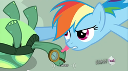 Size: 640x355 | Tagged: safe, screencap, rainbow dash, tank, g4, just for sidekicks, meme, youtube caption