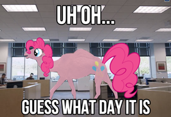 Size: 540x370 | Tagged: safe, edit, pinkie pie, camel, g4, caption, geico, hump day, not salmon, species swap, wat