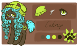 Size: 897x538 | Tagged: safe, artist:spideride, oc, oc only, oc:catnip, earth pony, pony, beanie, braid, female, freckles, hat, mare, reference sheet, solo