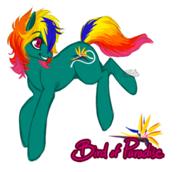 Size: 1084x1050 | Tagged: safe, artist:toastiepony, oc, oc only, earth pony, pony, bird of paradise, female, mare, rainbow hair, solo