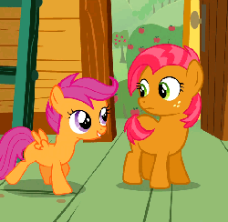 Size: 552x540 | Tagged: safe, screencap, babs seed, scootaloo, pony, g4, one bad apple, animated, butt bump, butt to butt, butt touch, female, gritted teeth, smiling, talking, wide eyes