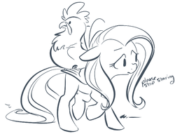 Size: 707x539 | Tagged: safe, artist:php27, fluttershy, pegasus, pony, g4, female, floppy ears, mare, monochrome, rooster, sketch, the joke is cockerels