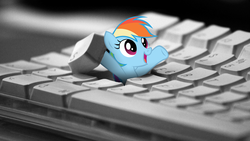 Size: 1600x900 | Tagged: safe, artist:klaifferon, rainbow dash, pegasus, pony, g4, arms in the air, artifact, cute, dashabetes, female, happy, hiding, i hid in your keyboard, i love you, irl, keyboard, looking up, love, mare, micro, open mouth, photo, picture, ponies in real life, smiling, solo, wallpaper