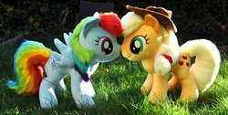 Size: 1000x505 | Tagged: safe, artist:sethaa, applejack, rainbow dash, earth pony, pegasus, pony, g4, boop, duo, grass, irl, nose to nose, noseboop, nuzzling, outdoors, photo, plushie, spread wings, toy, wings