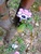 Size: 768x1024 | Tagged: safe, artist:danadyu, pinkie pie, g4, jumped-out-pinkieanswers, papercraft, the binding of isaac