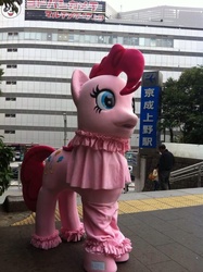 Size: 764x1024 | Tagged: safe, pinkie pie, g4, clothes, costume, irl, japan, japanese pinkie pie costume, photo, pinkidayo