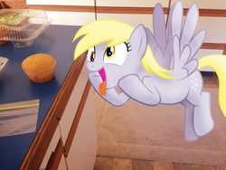Size: 1024x768 | Tagged: safe, artist:bronyvectors, artist:nikorurene, derpy hooves, pegasus, pony, g4, bag, corn muffin, female, irl, kitchen, mare, mat, photo, ponies in real life, solo, tongue out, vector