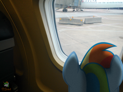 Size: 3264x2448 | Tagged: safe, artist:ojhat, artist:sairoch, rainbow dash, pegasus, pony, g4, barrier, concrete, delta air lines, female, irl, mare, photo, plane, ponies in real life, vector, window